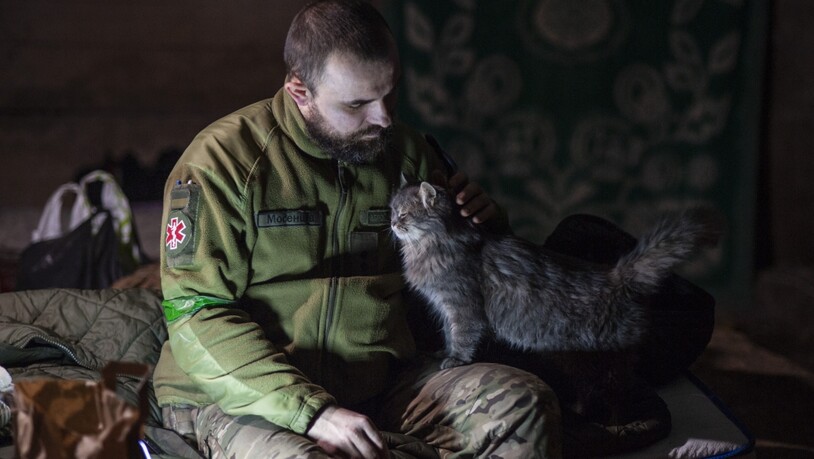 Ein ukrainischer Soldat streichelt in einem Unterstand in der Region Donzek eine Katze. Foto: Iryna Rybakova/Iryna Rybakova/AP/dpa - ACHTUNG: Nur zur redaktionellen Verwendung und nur mit vollständiger Nennung des vorstehenden Credits