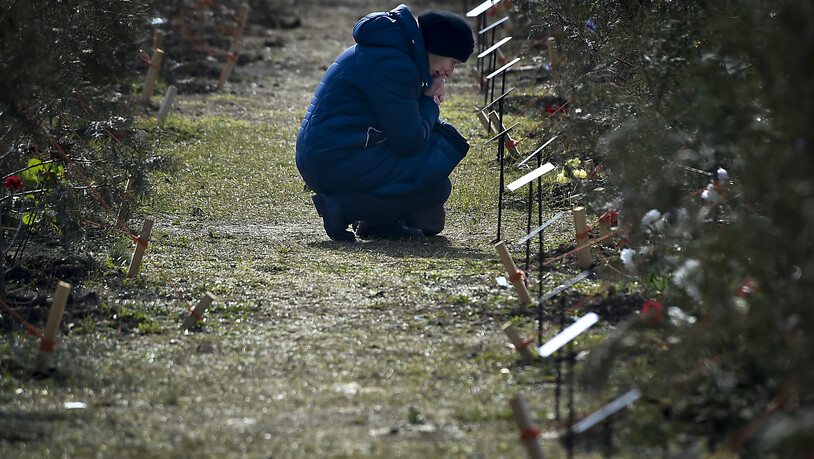 ARCHIV - Die Mutter eines russischen Soldaten, der bei einer Militäraktion in der Ukraine getötet wurde, neben einem Baum, der zum Gedenken an ihren Sohn auf der Krim gepflanzt wurde. Foto: AP/dpa