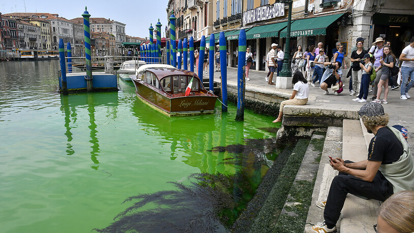 Eine grün schimmernde Flüssigkeit im berühmten Canal Grande hat für Aufregung gesorgt. Foto: Luigi Costantini/AP/dpa