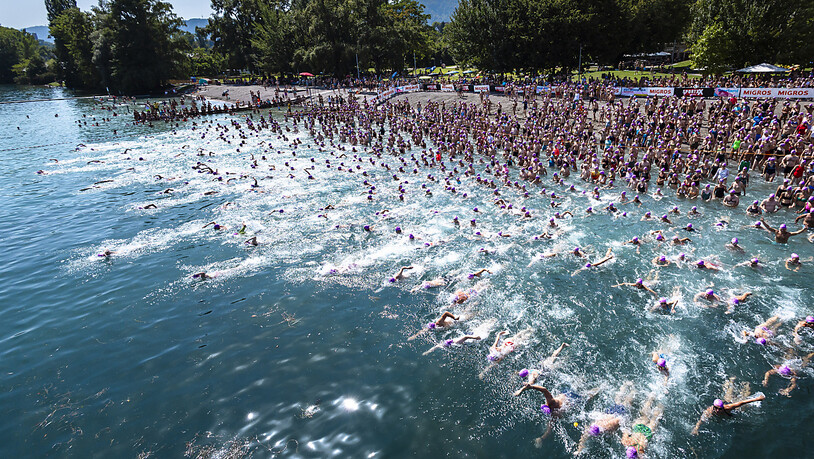 8224 Schwimmerinnen und Schwimmer nahmen an der Stadtzürcher Seeüberquerung teil. In diesem Jahr trugen alle violette Badekappen.