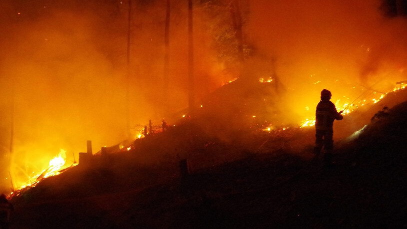 Gefährliche Arbeit: Wie bei diesem Waldbrand am 23. April 2014 oberhalb des Rosenhügels in Chur ist der Einsatz der Feuerwehrleute immer auch mit Risiken verbunden.