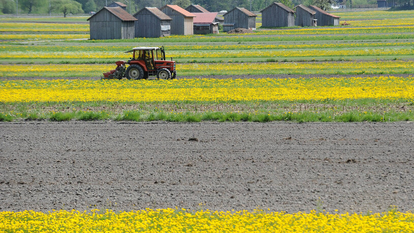 Umorganisieren: Für eine möglichst klimaneutrale Landwirtschaft möchten Bündner Bauernbetriebe ihre Arbeitsprozesse verändern.