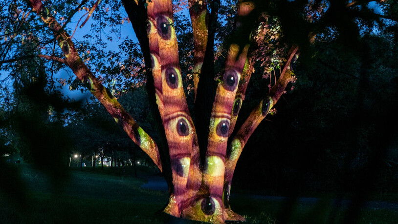 Der deutsche Künstler Jonas Denzel projiziert mit «Blickpunkt» Augen auf Baumstämme.