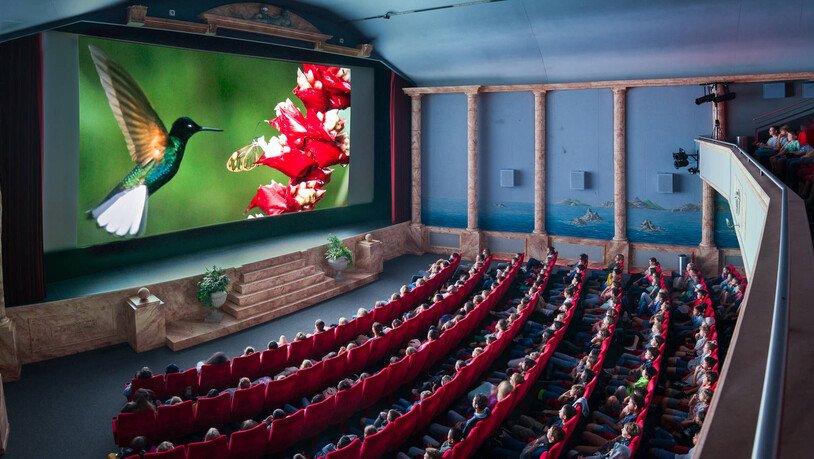 Für Schüler und Erwachsene: Das von der Unesco ausgezeichnete «Filme für die Erde»-Festival zeigt ausgewählte Umweltdokumentarfilme – auch in Chur.