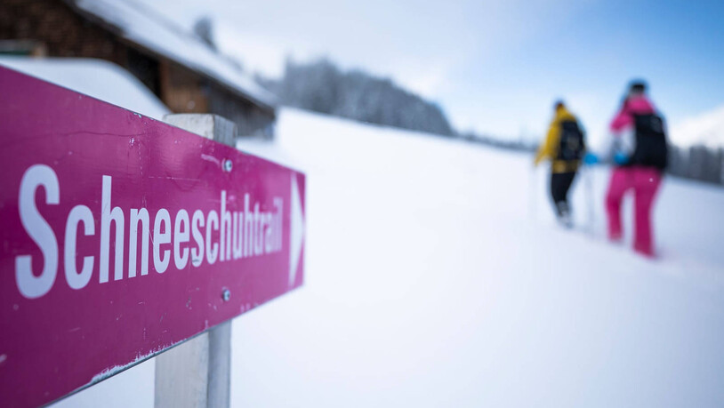 Offizielle Schneeschuh-Trails: Ob Profi oder Anfänger – bei Schneeschuhwanderungen raten wir zu offiziellen, ausgeschilderten Routen.