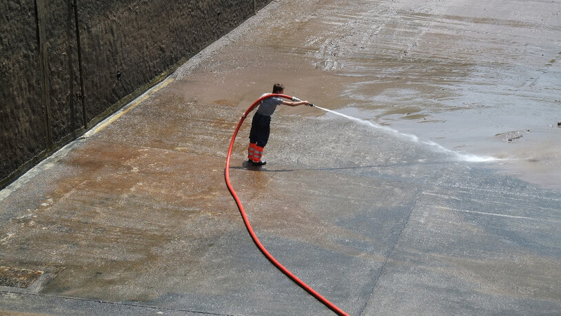 Die Sedimente halten sich am Beckengrund recht hartnäckig.