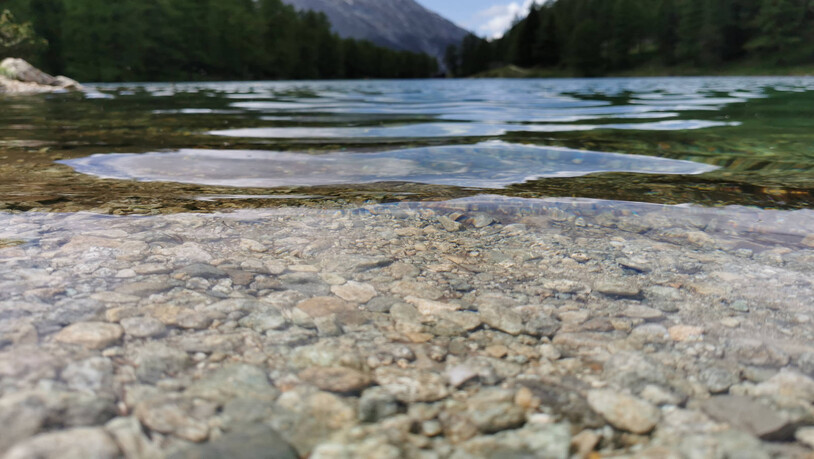 Rein: Das Wasser des Bergsees ist glasklar.