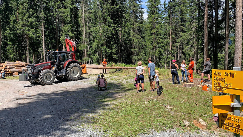 Vor den Augen der Besucher rüsteten die Forstwart-Lehrlinge Bäume fertig zum Abtransport. 
