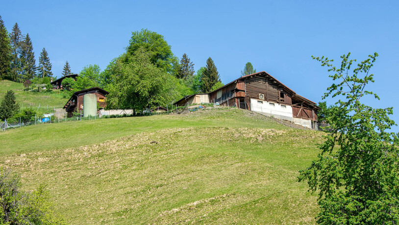 Umgeben von Wiesen: Beni´s Hirschfarm befindet sich in Arezen im Safiental.