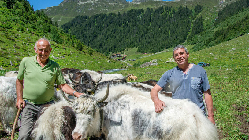 Gutes Team: Werner Stucki (links) sieht seit über zehn Jahren zu den Tieren von Bartli Gruober, wenn sie während der Sommermonaten auf der Gemeinschaftsweide und auf der Alp sind.