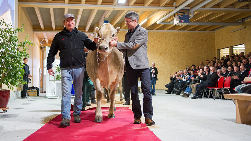 Tierische Angelegenheit: Cavigelli bei der Eröffnung des Plantahof Neubaus am 17. Januar 2014.  