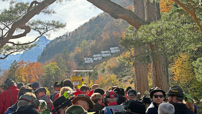 Spezielle Zielscheiben-Anordnung am Hang.