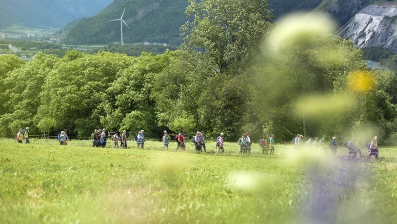 Südostschweiz Wandertage Weinwanderung  Trimmis Malans wandern