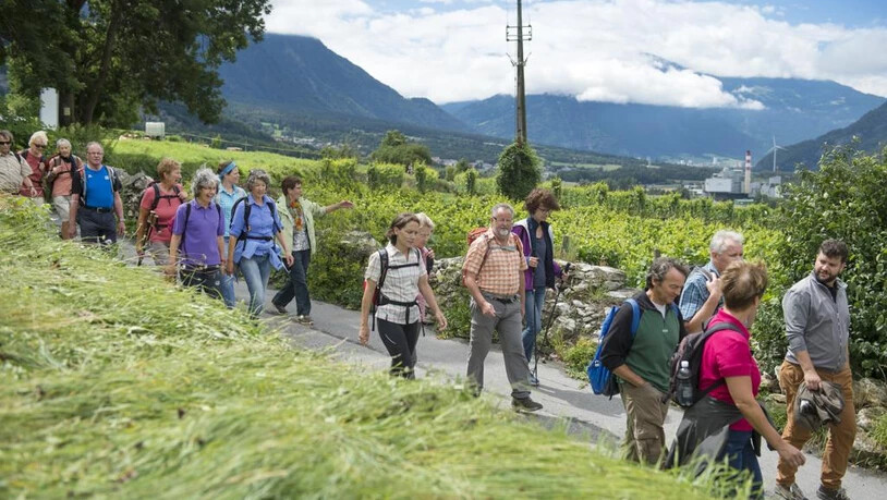 Südostschweiz Wandertage Weinwanderung  Trimmis Malans wandern