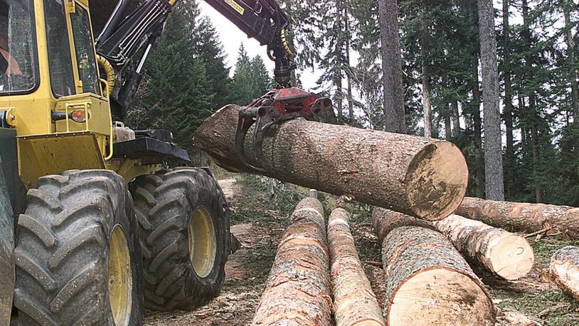Die Forstarbeiten der Gemeinde Glarus im 3. Quartal 2017 sind in vollem Gange.