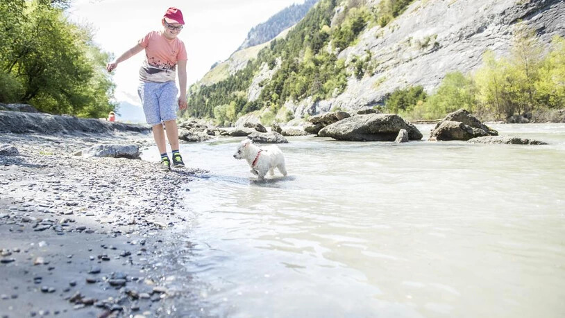 Ein Junge spielt am 20.4.18 am Rhein bei Chur mit seinem Hund bei sommerlichen Temperaturen.