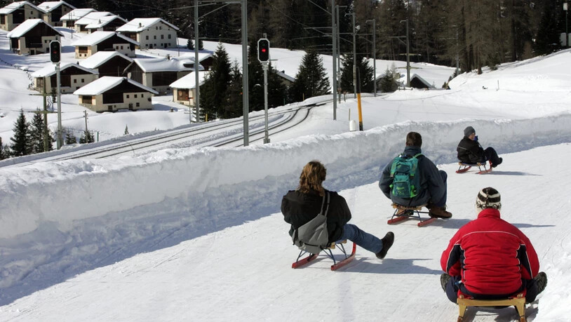 Schlitteln Berguen Winter Schnee Sport Preda