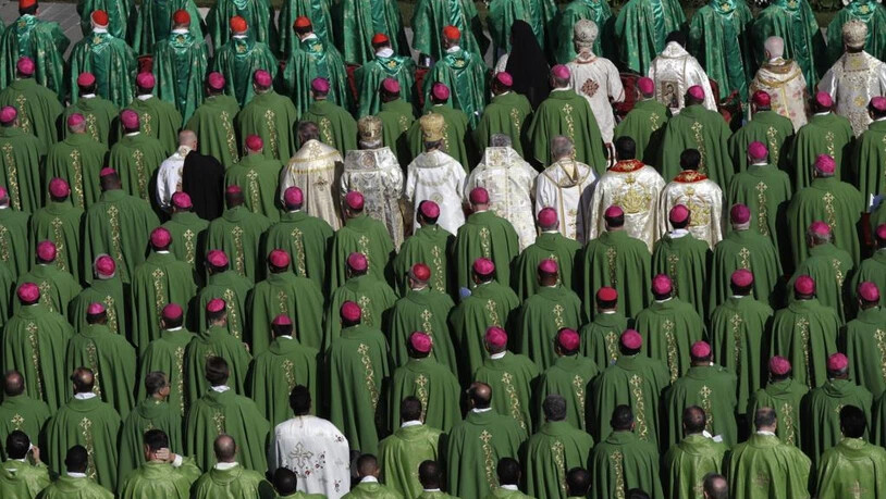 Vatican Pope Synod