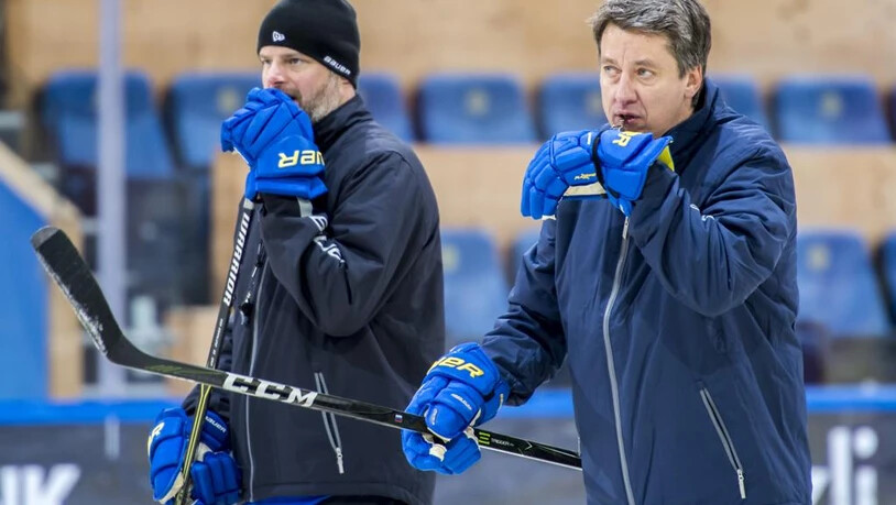 Harijs Witolinsch HCD