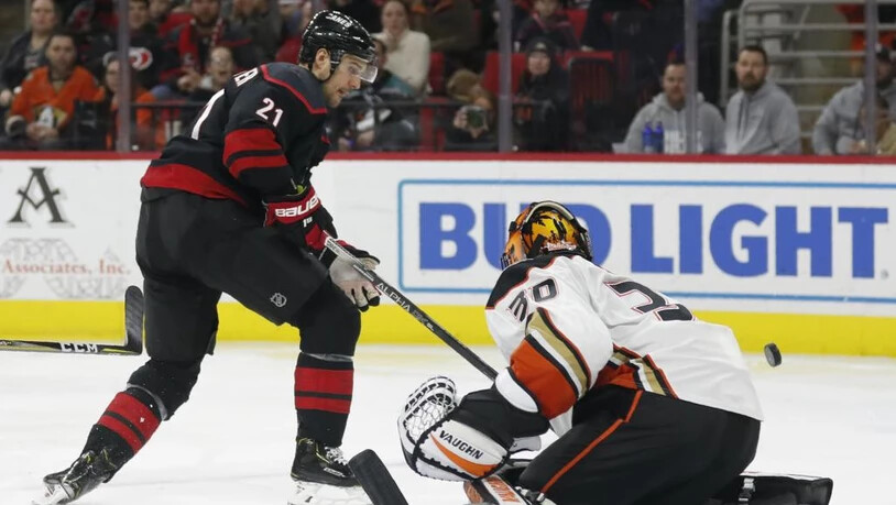 Ducks Hurricanes Hockey