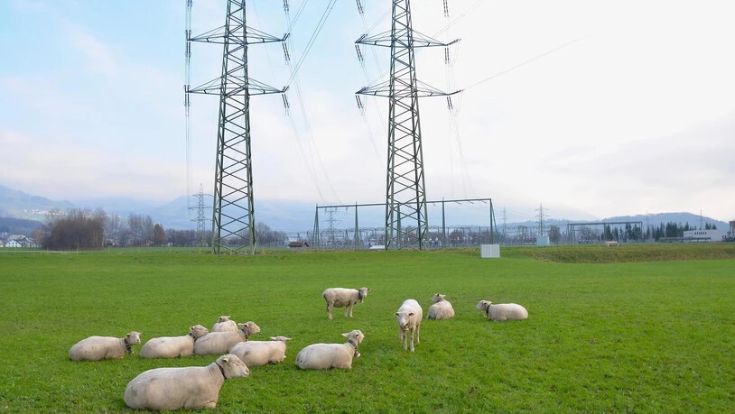 Grüner Strom: Das Linthgebiet steht mit einem Bein in der Zukunft. (Bild: Markus Timo Rüegg)