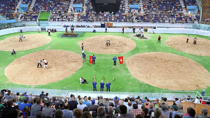 Im Eishockeystadion: Klickt Euch durch die Galerie vom Kantonalschwingfest in der Eishalle Rapperswil-Jona.