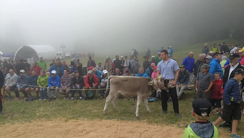 Stolzer Sieger des 20. Brambrüesch-Schwinget ist Armon Orlik.