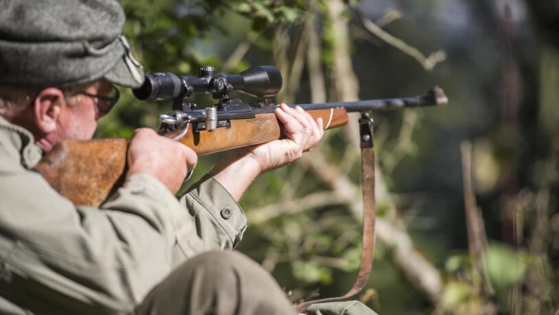 Am Samstag, 1. September, beginnt die Bündner Hochjagd.