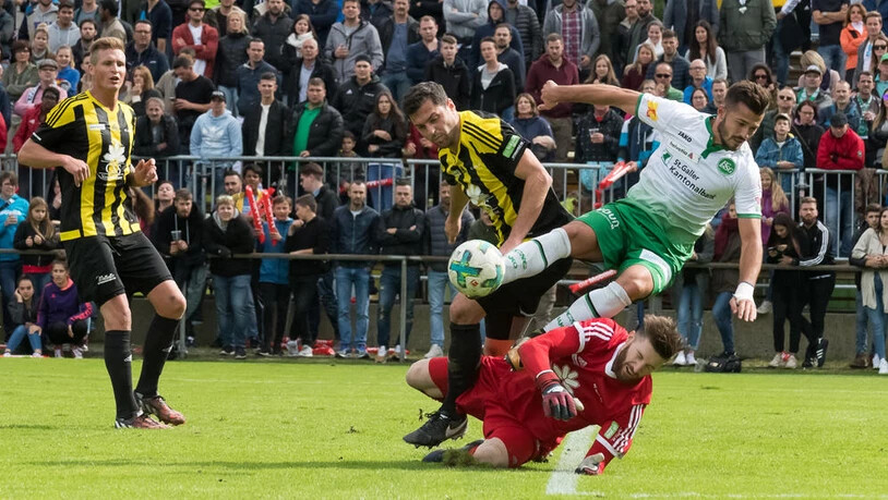 Die Spieler von Linth 04 (in gelb-schwarz) lieferten dem FC St. Gallen einen grossen Kampf.