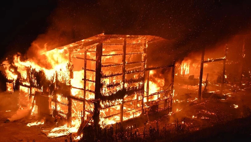 Ein Bild des Schreckens: In der Nacht vom 13. auf den 14. August brannte der Stall lichterloh.