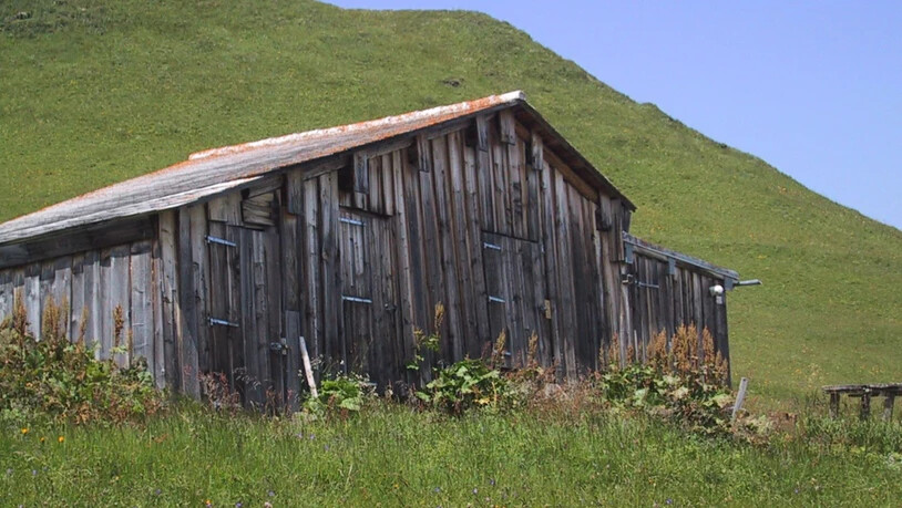 Stall
