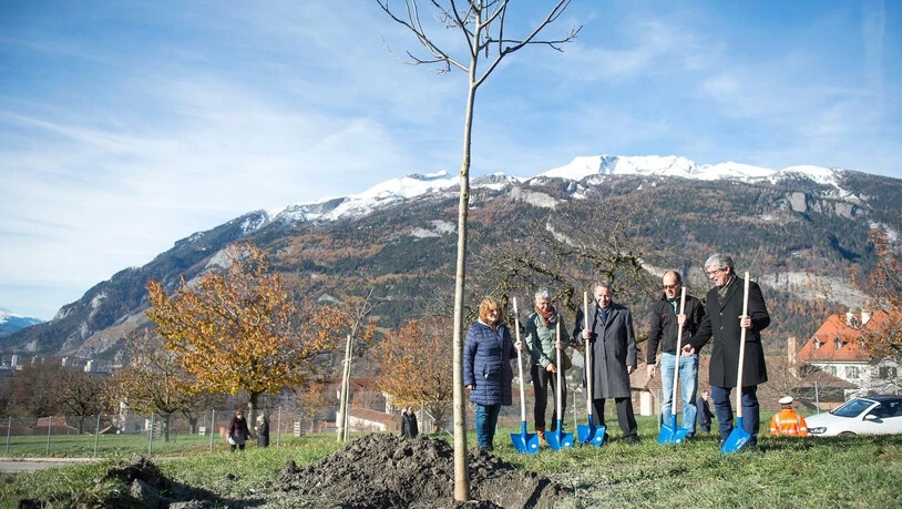 Für die Opfer von fürsorgerischen Zwangsmassnahmen wurde beim Waldhausstall in Chur als Anerkennung ein Nussbaum gepflanzt.