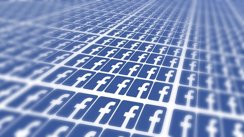 Ein Unbekannter Seitenadministrator wettert auf Facebook gegen Thomas Domenig senior.