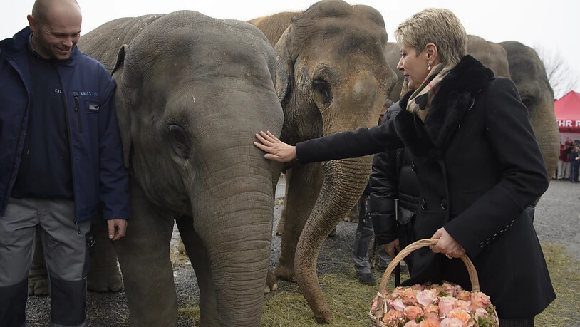Als Dank für den Blumenstrauss streichelt Karin Keller-Sutter die Elefanten-Ehrendamen.