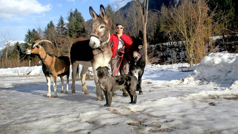 Das Älplerleben im Winter: Sennin Rebekka Zimmermann auf einem Spaziergang mit ihren vier Vierbeinern, dem tierischen Teil der Familie.