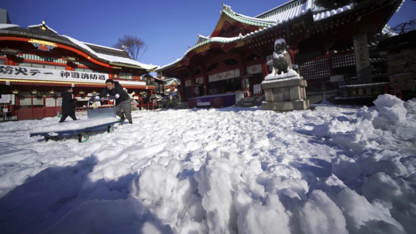Der Schnee bedeckt einen Schrein in Tokio - und sorgt auf einigen Strassen Japans für ein Chaos. (Archiv)