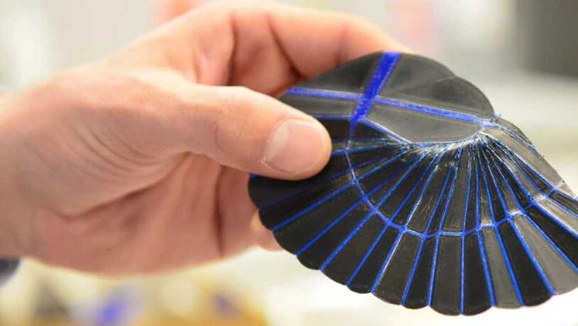 Die Imitation des Ohrwurmflügels aus dem 3D-Drucker lässt sich kompakt falten.