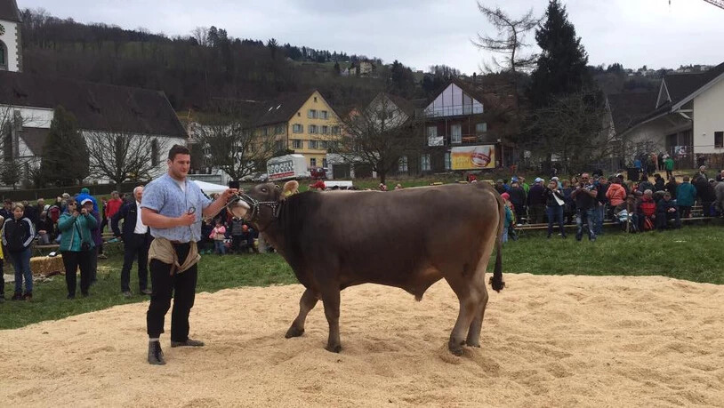 Armon Orlik siegt in Thal. 