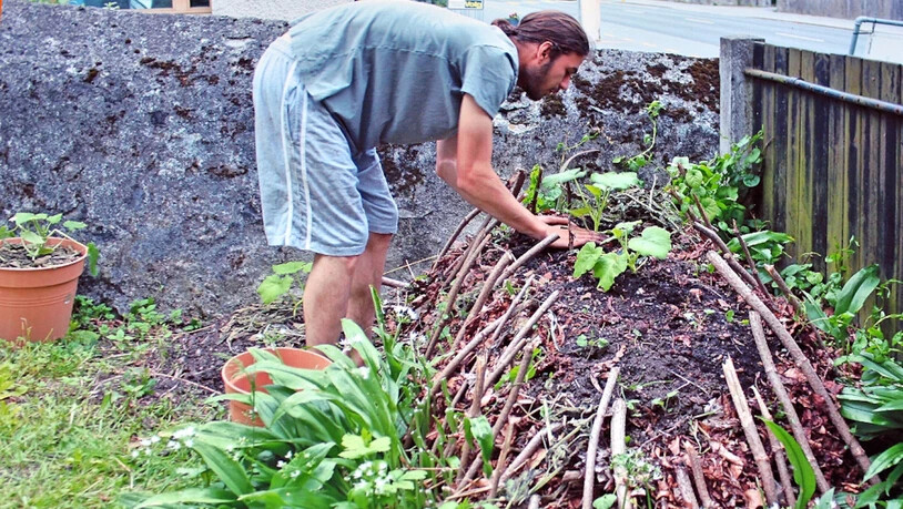 Keine Ressourcen verschwenden: Alexander Oberholzer zügelt Kürbispflanzen.