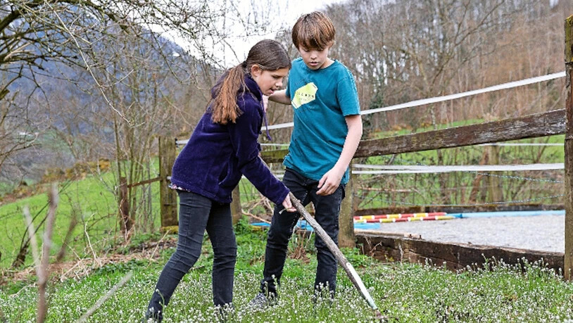 Philipp Egli  Mitbegründer von «Lernraum»