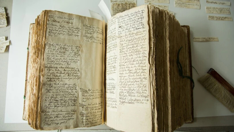 Das "Deutsche Glossar" von Johann Jakob Spreng besteht aus gegen 100'000 handschriftlichen Zetteln. Nun wird das Werk erstmals der Öffentlichkeit zugänglich gemacht.