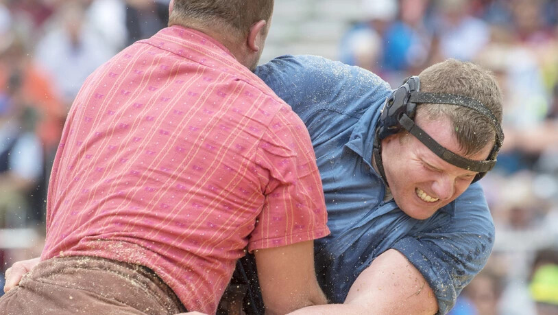 In diesem Gang gegen den zähen Michael Moser (links) musste Schwingerkönig Matthias Glarner stellen

 schwingt gegen Matthias Glarner, Meiringen, rechts, im ersten Gang, waehrend dem Oberlaendischen Schwingfest, am Sonntag, 27. Mai 2018, an der Lenk. …