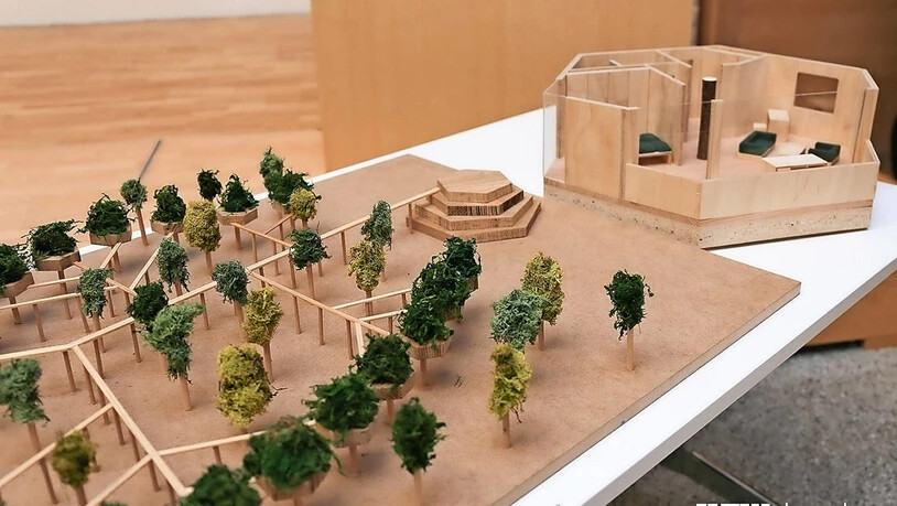 Das Modell: Die Bungalows des Baumhaus-Hotels wären über Holzstege erreichbar. 