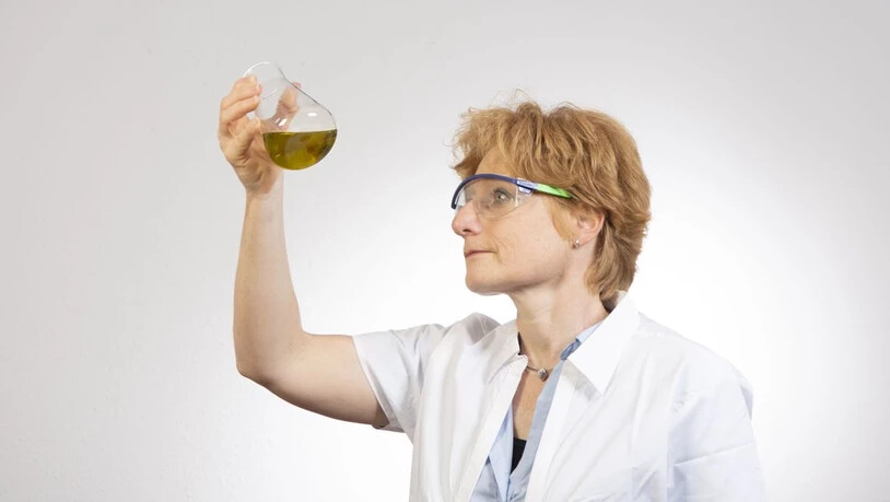 Mit heimischen Pflanzenölen lässt sich prima waschen: Regine Schneider, Geschäftsführerin von Good Soaps, präsentiert das erste Waschmittel auf Basis heimischer Pflanzenöle.
