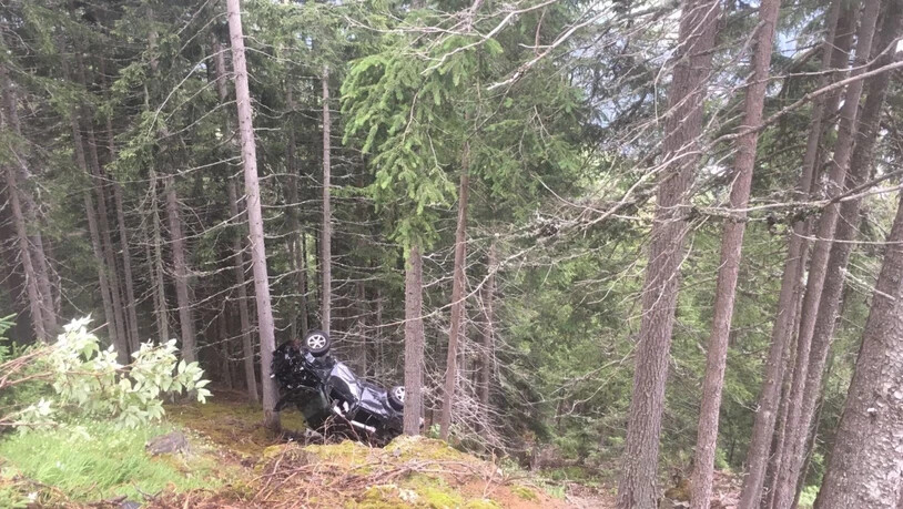 Das Auto landete total zerstört an einem Baum.