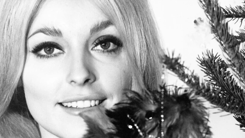 Gegenstände des 1960er-Stars Sharon Tate sollen im November versteigert werden. (Archivbild)