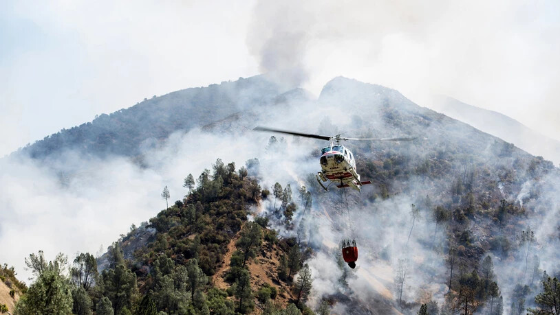 Lösch-Helikopter versuchen das sogenannte Ferguson-Feuer in der Nähe des Yosemite-Nationalparks in Kalifornien zu löschen. (Archivbild)