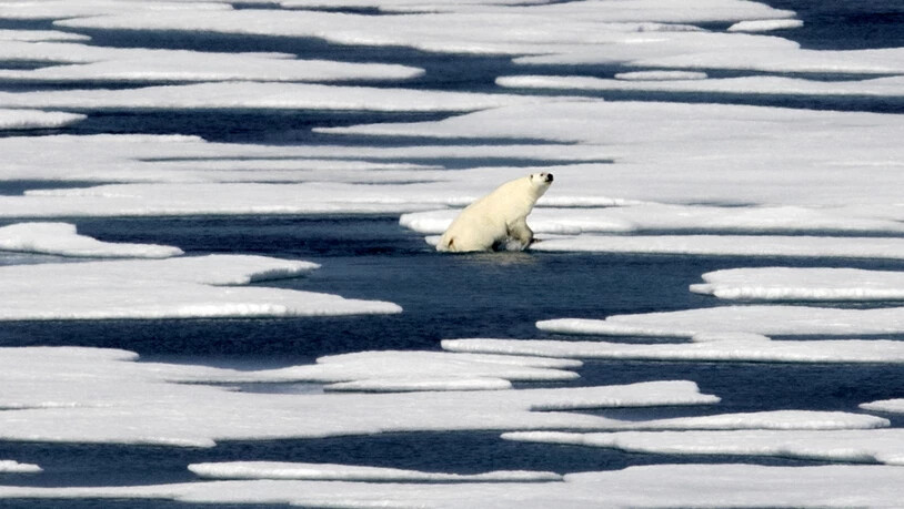 Das Arktis-Eis schmilzt rasant weiter. Einer der Gründe: Laut einer US-Untersuchung haben die Emissionen der drei schädlichsten Treibhausgase Kohlendioxid (CO2), Methan und Lachgas 2017 neue Rekordausmasse erreicht. (Themenbild)
