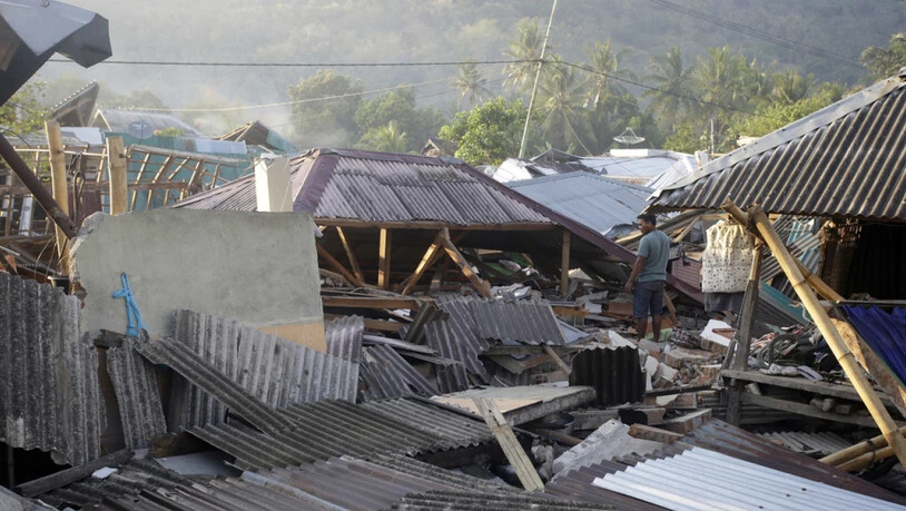 Das schwere Erdbeben vor knapp einer Woche auf der indonesischen Ferieninsel Lombok hat weit mehr Menschen das Leben gekostet als bisher vermutet. Die offizielle Zahl habe nun 387 Todesopfer erreicht, sagte ein Sprecher der nationalen…