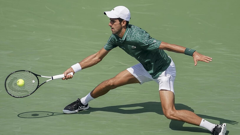 Novak Djokovic steht zum sechsten Mal im Final des Masters-1000-Turnier in Cincinnati, gewinnen konnte er bislang noch nie